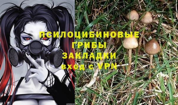 прущая мука Осташков