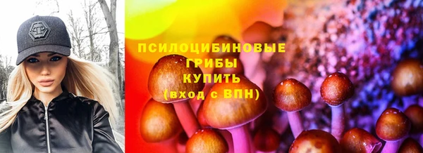 стафф Осинники