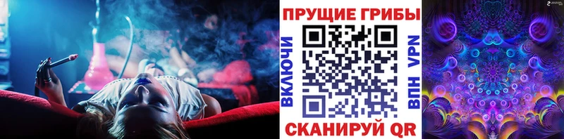 Псилоцибиновые грибы прущие грибы  даркнет сайт  Чистополь 
