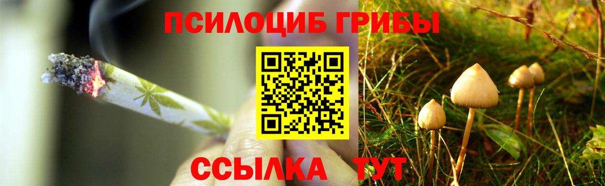 Псилоцибиновые грибы Cubensis  Вход с VPN  Чистополь 